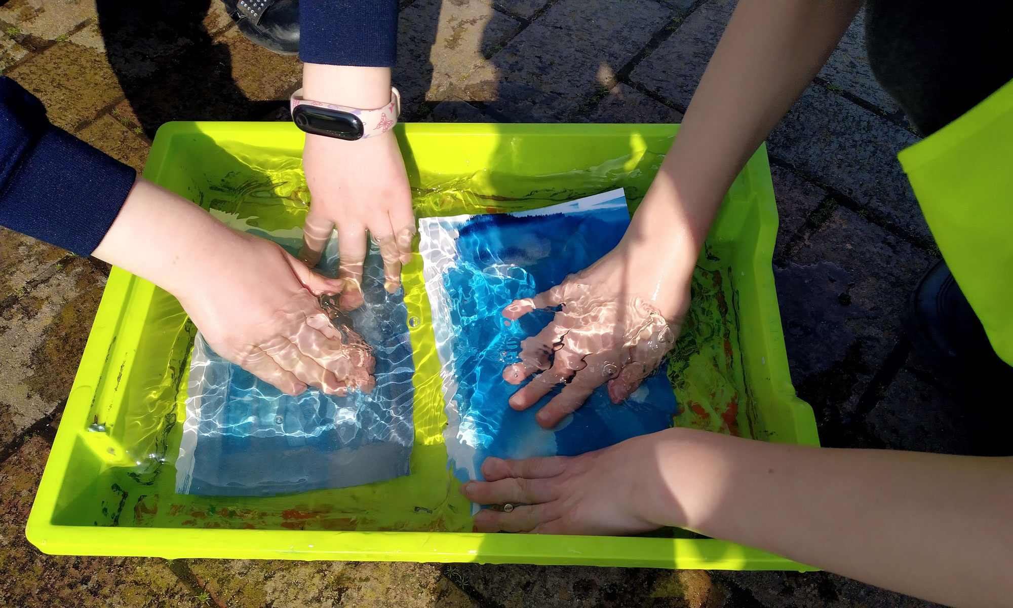 Children's hands in a tub of water