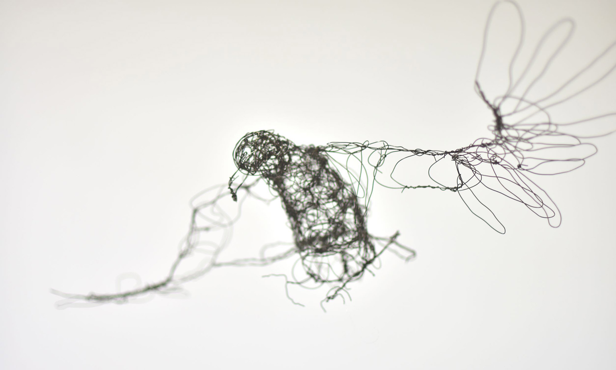 Wire sculpture of a bird